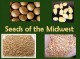 Seeds of the Midwest